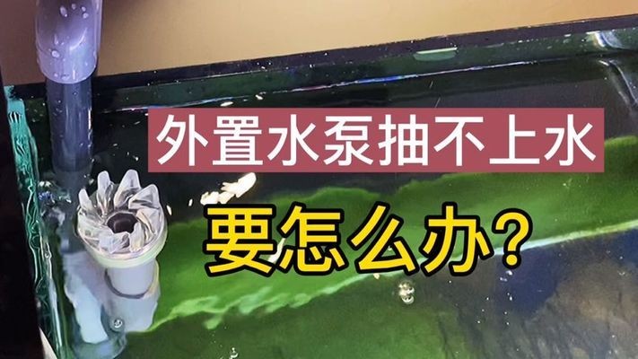 無極縣萌茹水族館