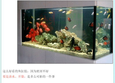 詳細閱讀:玻璃做魚缸用什么膠:如何選擇合適的玻璃膠粘魚缸 玻璃做魚缸用什么膠:如何選擇合適的玻璃膠粘魚缸