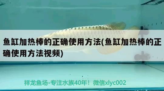 洛陽魚缸回收公司電話多少號