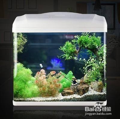 森森油膜處理器的用法（森森油膜處理器使用視頻）