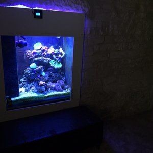 of魚缸官網：仟湖of大型龍魚缸聚龍殿iv系列