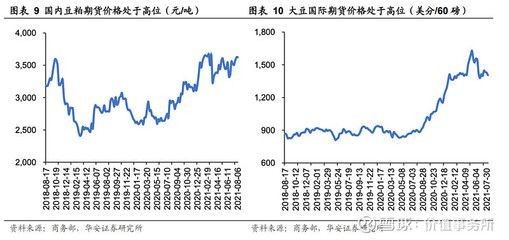 金龍魚價(jià)格上漲原因有哪些