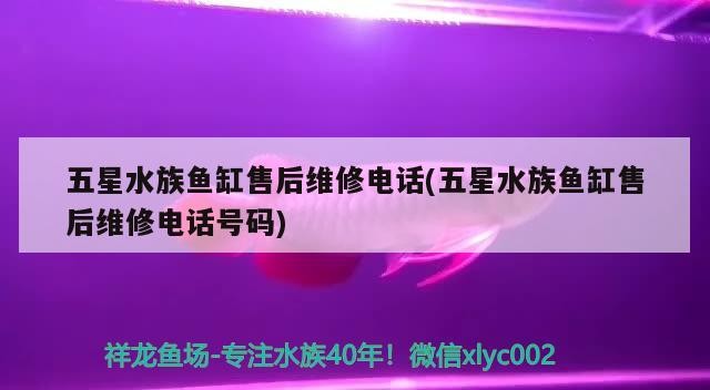 五星水族魚缸售后維修電話(五星水族魚缸售后維修電話號碼) 五星水族魚缸售后維修電話(五星水族魚缸售后維修電話號碼) 紅龍魚百科