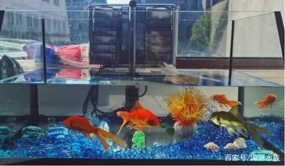 大型魚缸氧氣泵怎么安裝：安裝大型魚缸氧氣泵需要以下幾個(gè)步驟和注意事項(xiàng)