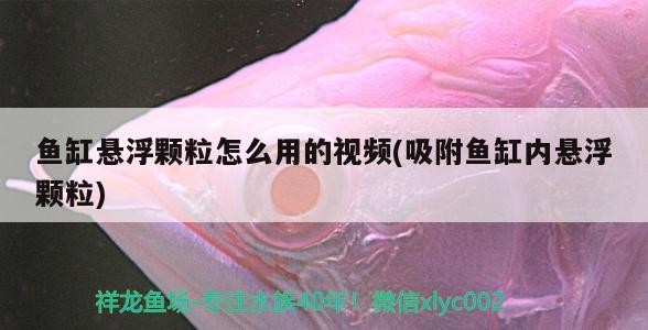 魚缸懸浮顆粒怎么用的視頻(吸附魚缸內懸浮顆粒)