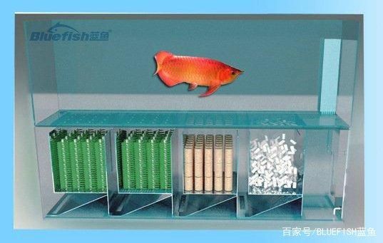 玻璃魚缸結實嗎耐用嗎：玻璃魚缸的結實度和耐用性