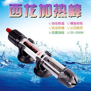 玻璃魚缸結實嗎耐用嗎：玻璃魚缸的結實度和耐用性