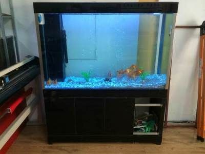 大港賣魚缸的地方有哪些呢：在天津大港地區(qū)提供魚缸銷售或服務(wù)的地點和信息