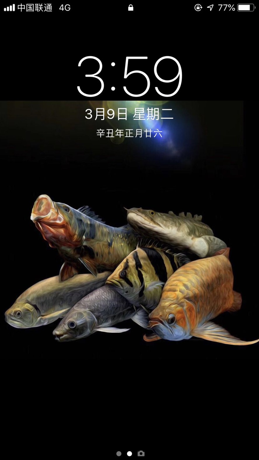 虎魚上了癮