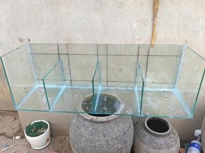 成品魚缸玻璃怎么切割好：在制作或修理成品魚缸時(shí)，如何正確切割玻璃裁切 成品魚缸玻璃怎么切割好：在制作或修理成品魚缸時(shí)，如何正確切割玻璃裁切 魚缸百科 第3張