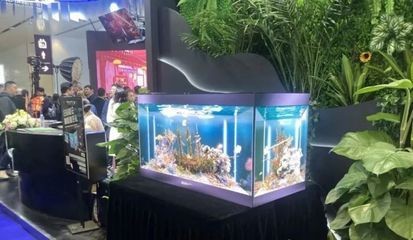 比較好的魚缸品牌：生產銷售魚缸品牌排行榜和消費者評價一些比較好的魚缸品牌