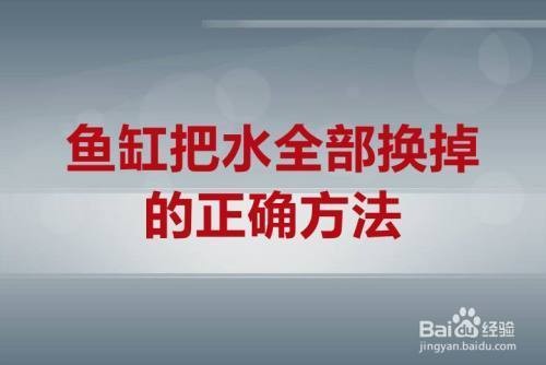 森森水族怎么樣（森森水族官網(wǎng)產(chǎn)品）
