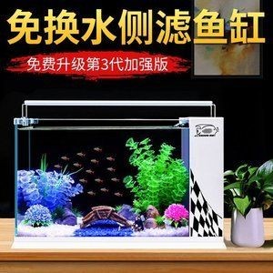 新疆原生觀賞魚（新疆原生觀賞魚有哪些）