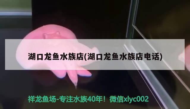 給大魚缸換水的頻率是固定的,而是需要根據(jù)多種因素來確定:給大魚缸換水的頻率不是固定的,而是需要根據(jù)多種因素來確定 湖口龍魚水族店(湖口龍魚水族店電話) 紅龍魚百科 湖口龍魚水族店(湖口龍魚水族店電話) 湖口龍魚水族店(湖口龍魚水族店電話) 紅龍魚百科