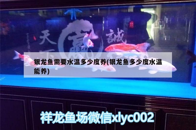 銀龍魚需要水溫多少度養(銀龍魚多少度水溫能養)