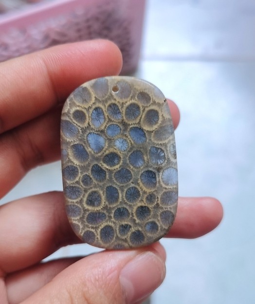 藍色系 龍魚論壇 第2張 藍色系 藍色系 龍魚論壇 第2張