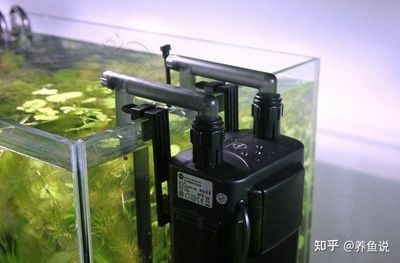 成品小魚缸上蓋整個能拆掉么嗎：成品小魚缸上蓋可以拆卸嗎？