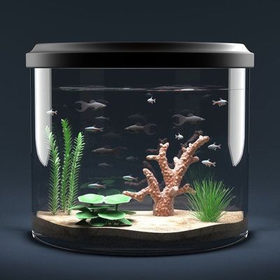 虎魚的功效與作用禁忌是什么(虎魚百度百科)