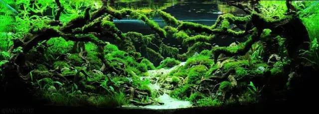 張家界市永定區陽光地帶水族店（張家界陽光水岸小區物業電話）