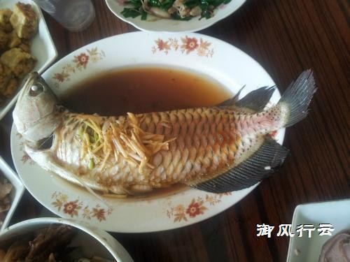 烏蘭察布紅龍魚價(jià)格2688貴嗎？