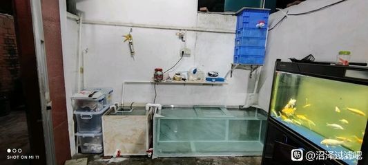玻璃魚缸怎么打孔視頻：玻璃魚缸打孔工具和步驟