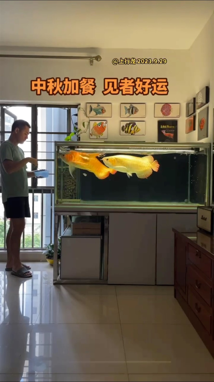 銀龍魚適應多少度水溫合適(銀龍魚的水溫在多少度合適) 銀龍魚適應多少度水溫合適(銀龍魚的水溫在多少度合適) 銀龍魚百科