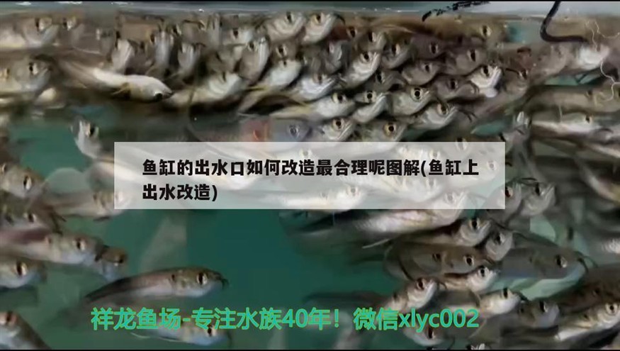 魚缸的出水口如何改造最合理呢圖解(魚缸上出水改造) 魚缸的出水口如何改造最合理呢圖解(魚缸上出水改造) 紅龍魚百科
