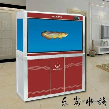 shuijing是什么牌子魚缸：如何選擇水晶材質的魚缸