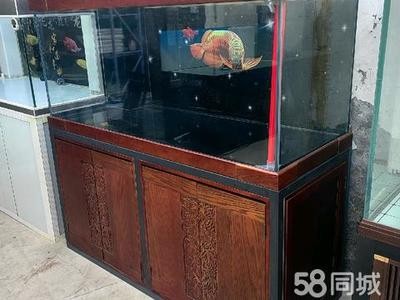 回收二手魚缸電話 回收二手魚缸電話 龍魚百科 第2張
