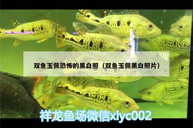 魚缸里放木頭好還是石頭好一點(diǎn)(魚缸里面放石頭好還是不放好)
