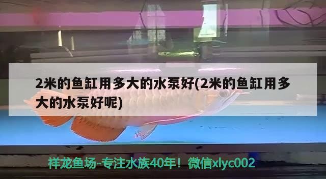 2米的魚缸用多大的水泵好(2米的魚缸用多大的水泵好呢)