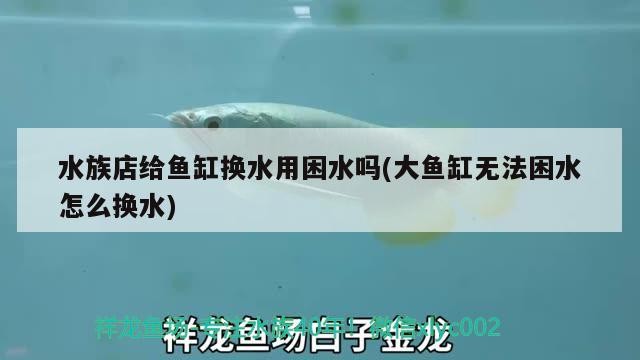 水族店給魚(yú)缸換水用困水嗎(大魚(yú)缸無(wú)法困水怎么換水)