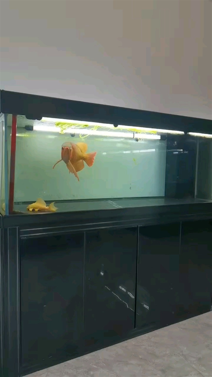 祝大家中秋節(jié)快樂