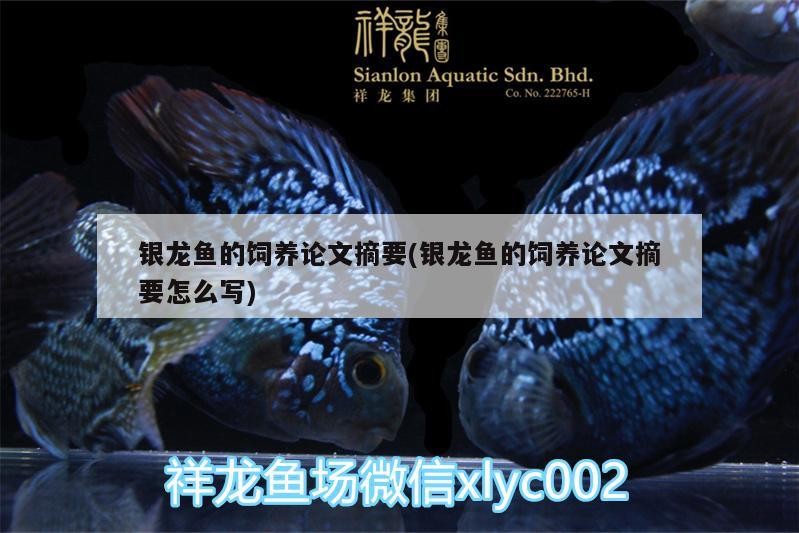 銀龍魚的飼養論文摘要(銀龍魚的飼養論文摘要怎么寫)