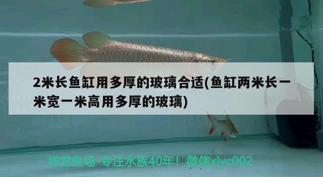 給大魚缸換水的作文:體驗給大魚缸換水的樂趣:體驗給大魚缸換水:給大魚缸換水的作文 2米長魚缸用多厚的玻璃合適(魚缸兩米長一米寬一米高用多厚的玻璃) 紅龍魚百科 2米長魚缸用多厚的玻璃合適(魚缸兩米長一米寬一米高用多厚的玻璃) 2米長魚缸用多厚的玻璃合適(魚缸兩米長一米寬一米高用多厚的玻璃) 紅龍魚百科