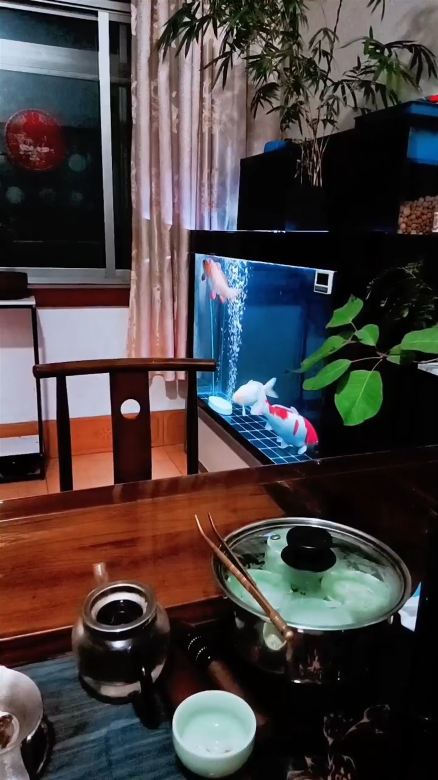 茶鯉帶頭大哥