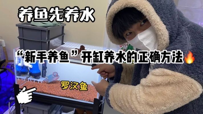 稀土高新區(qū)碧波水族魚具店（碧波水族電話） 稀土高新區(qū)碧波水族魚具店（碧波水族電話） 全國水族館企業(yè)名錄 第1張