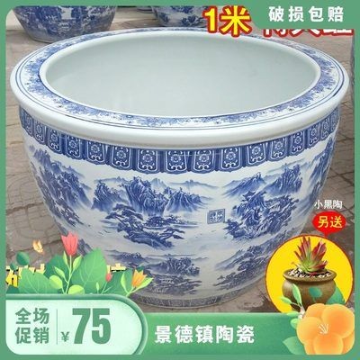 大型魚缸養(yǎng)什么魚最好養(yǎng)