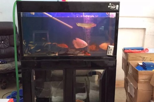 大連家具市場俊泓水族商行（大連家具商城）