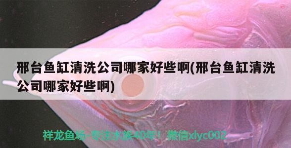 邢臺魚缸清洗公司哪家好些啊(邢臺魚缸清洗公司哪家好些啊) 邢臺魚缸清洗公司哪家好些啊(邢臺魚缸清洗公司哪家好些啊) 紅龍魚百科