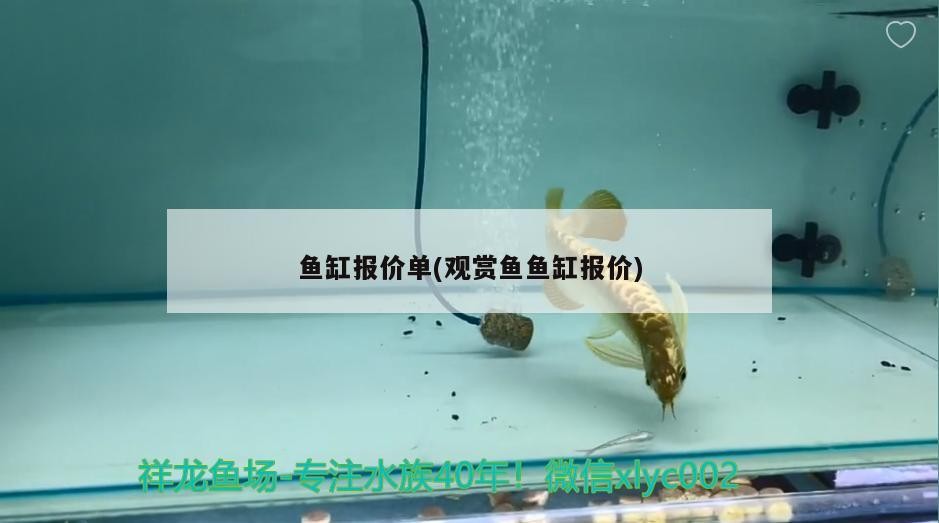 魚缸報價單(觀賞魚魚缸報價) 魚缸報價單(觀賞魚魚缸報價) 紅龍魚百科