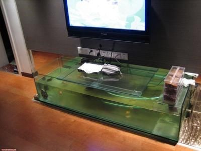 慈溪哪里有做玻璃魚缸的：慈溪市福普汽車玻璃店不生產玻璃魚缸制作點信息