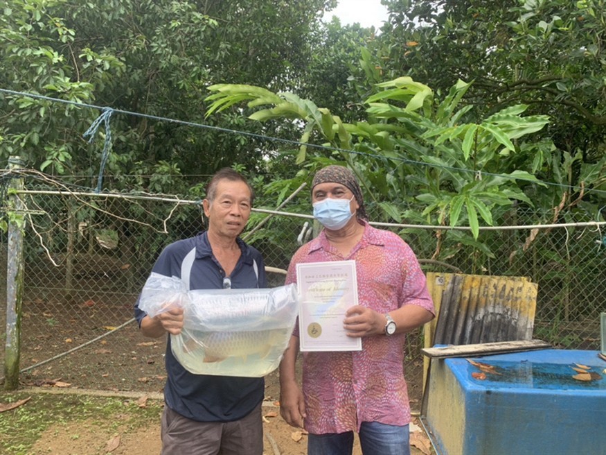 堅(jiān)守著不褪色的信念