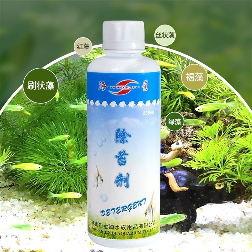 北方魚缸里養什么水草好：北方地區適合養什么水草？
