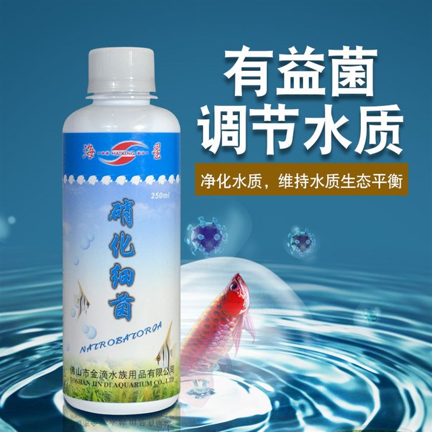 北方魚缸里養什么水草好：北方地區適合養什么水草？