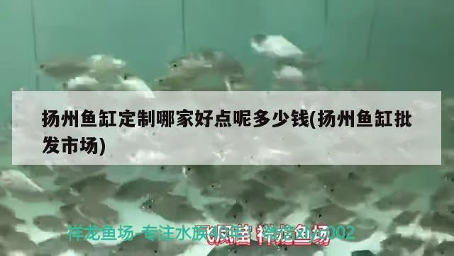 揚州魚缸定制哪家好點呢多少錢(揚州魚缸批發市場) 揚州魚缸定制哪家好點呢多少錢(揚州魚缸批發市場) 豬鼻龜百科