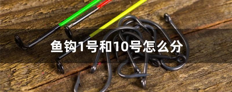 魚鉤1號和10號怎么分