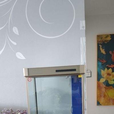 百勝魚缸和森森魚缸哪個好用一點：森森森魚缸選購指南在消費者需要考慮品牌、產品質量