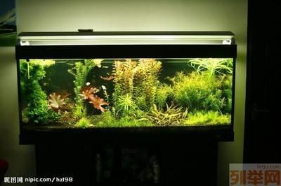大魚缸漏水一般在哪個地方補好：大魚缸漏水的位置和原因不同，修補方法不同，修補方法也不同