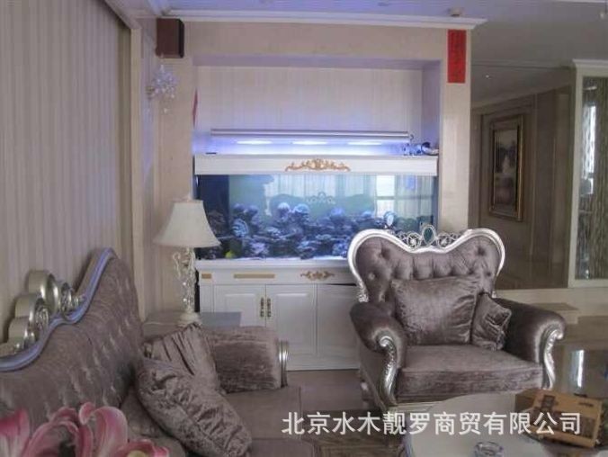 大魚缸定制：大型魚缸定制服務